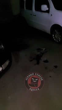 � ������ ������ �������� �� ����������� ��������� ������ � ���������