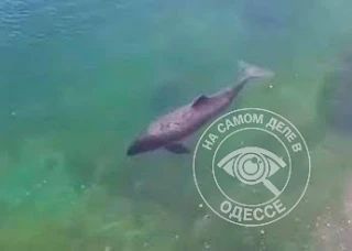 �������� �� ��������� ������: 6 �������� ��������� �� ������