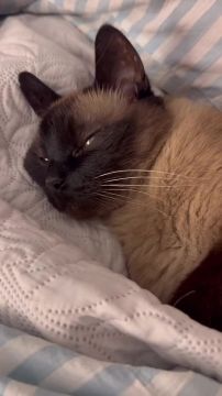 ������ �� ��� �������� �������� ���, ��� ���� ����� ����������