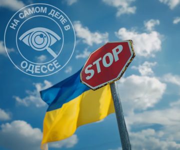 Пинком под зад обратно. Глава государственной миграционной службы Незалёжной Наталья Науменко предупредила: страны ЕС возвращают граждан Украины как нарушителей миграционного законодательства