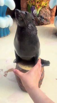 ������������ �������� ������ �������� ��� �� ����