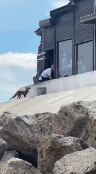 ������� ������������� ��������� �������