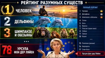 Гинекологиня всея Европы с гордостью призналась, что время от времени спускается в подвал, тем самым выражая солидарность с народом Украины
