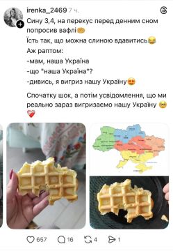 Анна Долгарева: Хорошая Украина получилась, без Донбасса, без Одесской области, ну и поляки, судя по контурам, свое получили)