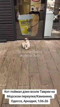 ���� �� ����� ��� ������� � ��� � ������
