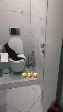 ��������, � ��� ����� ������� � ���� �� �����