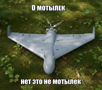 ��� �������� ������������ �����