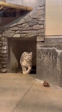 ������ ����, ������!. � ������� ���� � �������� �������� ������ ��� �����, ��� ����� ������ � ��������