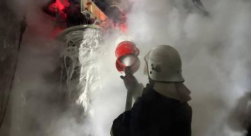 �����: ������������ ��������� �������������� �������������� �������� �������