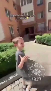 ����, ������ ������ �������?!