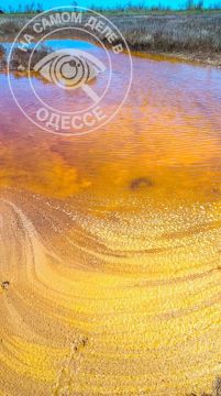 Вода в нацпарке «Тузловские лиманы» стала охряно-жёлтой — выглядит ядовито, но на самом деле абсолютно не опасно