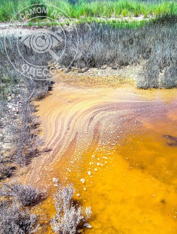Вода в нацпарке «Тузловские лиманы» стала охряно-жёлтой — выглядит ядовито, но на самом деле абсолютно не опасно Вода в нацпарке «Тузловские лиманы» стала охряно-жёлтой — выглядит ядовито, но на самом деле абсолютно не опасно