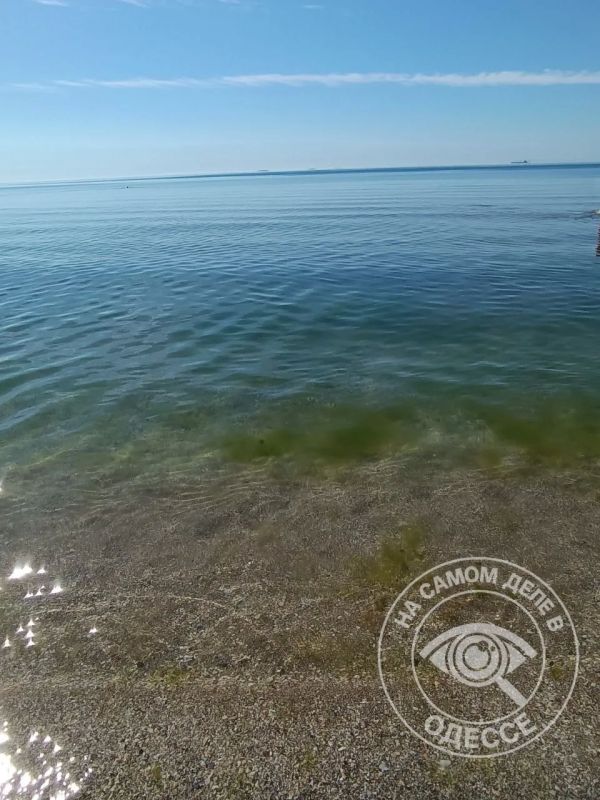 Только посмотрите на это прекрасное чистое море, прозрачное, как стекло, через которое видно буквально каждую песчинку, и вы наслаждаетесь этим моментом Только посмотрите на это прекрасное чистое море, прозрачное, как стекло, через которое видно буквально каждую песчинку, и вы наслаждаетесь этим моментом