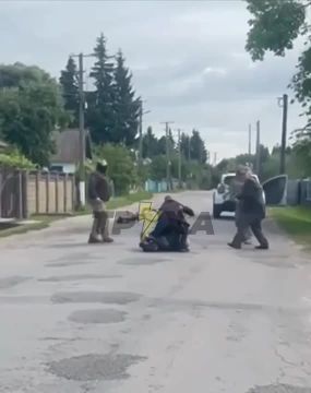 Это видео +1000% хорошего настроения