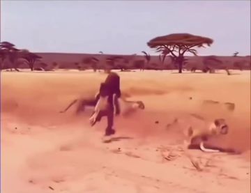 ����� ����� ����� �������, ���� �� ���������� ������ � ����