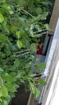 ����� � ������: 16-������ ���������� ������� �������, ����� �� ����
