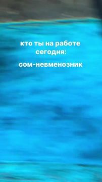 Доброе утро, Одесса!. Проводим перекличку - а кто сегодня ты?! Внимательно смотрим видео и выбираем себе тотемное животное на этот четверг
