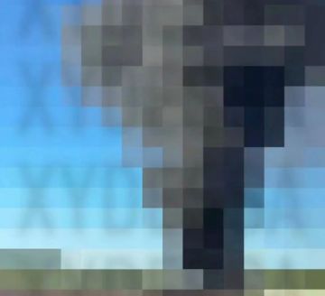 � �������� ������� �������� ����� �� ��������