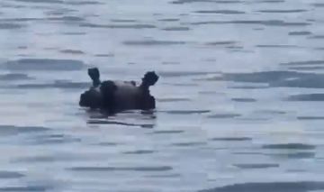 Вчера в Киевском районе на пляже обнаружили морскую мину