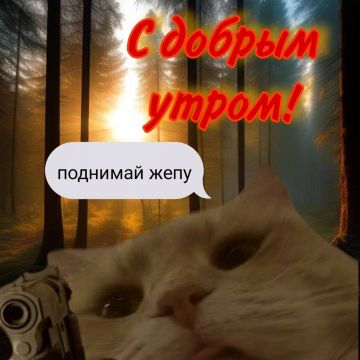 ������ ���� �������, ������