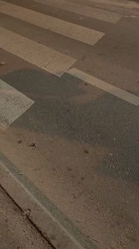� ������ �������� ��������� �������