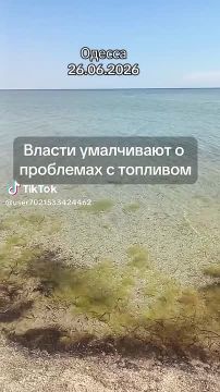 ������ ������ ���������� � ���������, ������� ���� ������� � ��������� �������