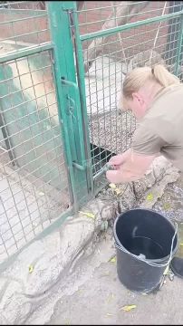� �������� ���� ����� �� ����: ������ �������� ��������� � �������