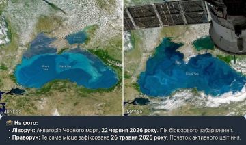 Спутник НАСА снял из космоса бирюзовое Черное море
