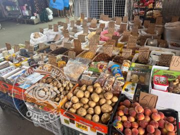 ������� � ����� �� �������� �������� (���� 2026):