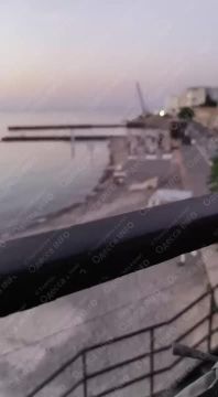 Пара занялась сексом на пляже в Аркадии на глазах у всех