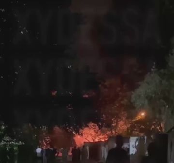 Прилеты Гераней по Одесск