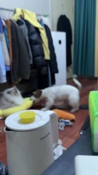 Доброе утро, Одесса!. В будни все работяги делятся на два вида А кто сегодня ты? Неугомонный деятель или досыпающий тихоня? Блокнот Одесса | Написать нам в Telegram