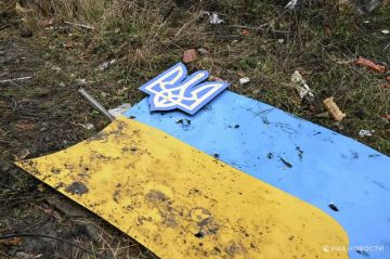 Боевика ВСУ избили арматурой за замечание о русской песне