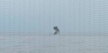 ������ �������: � ��������� ������: �������-4� ������� �� ����� � ׸���� ����
