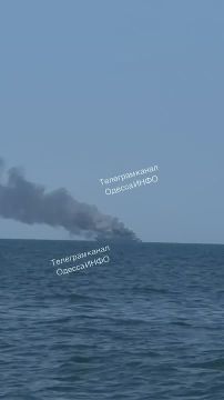 Мониторинговые каналы сообщают о прилете "Герани" по грузовому судну около Одессы