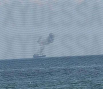 Евгений Поддубный: Ещё один сухогруз поражен ВС РФ возле порта Одесса