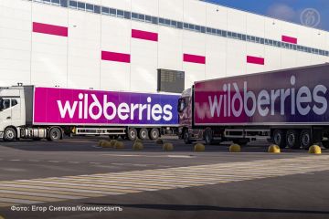 Ущерб от атак по складам Wildberries в Котовске и Электростали превышает 20 млрд рублей