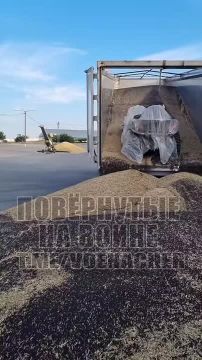 Зерновоз в сюрпризом: в порту Одесской области нашли спрятанный квадроцикл