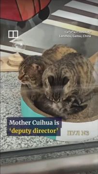 ������� �������. � ��������� ���������� ������ �������� ���� ������� �� ������ � ������