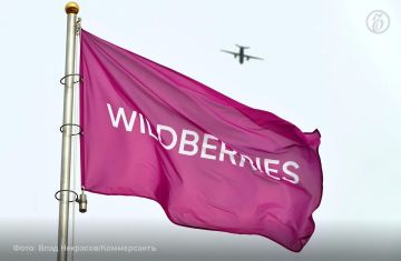 � �������� ���������� ������� ������������� ����������� ���� ����� Wildberries