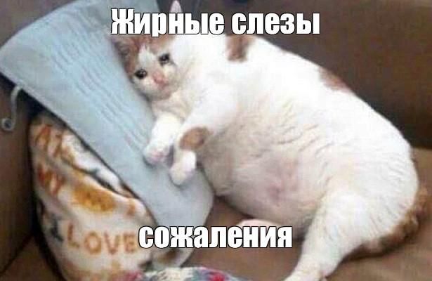 Ученые: недосып даже на один час приводит к ожирению