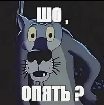 Масляная блокада: Крупнейший завод Украины в порту Южный встал на неопределённое время