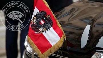 Австрия: Украине не стоит ждать приглашения в ЕС в ближайшие годы