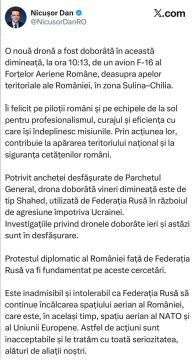 Президент Румынии Никушор Дан - сообщил о сбитом российском БПЛА: