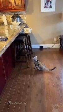 ����� ���� ����������� �� ��������� ��������