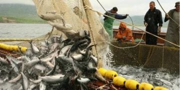Одесские рыбаки жалуются на ужесточение правил лова рыбы с судов