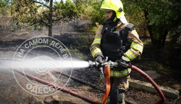 Огонь едва не уничтожил дома под Одессой