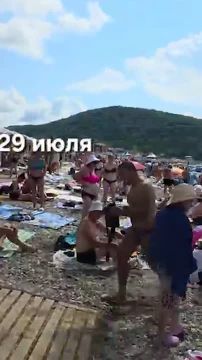 ������ ���������� ���� ������ �� ������-��������