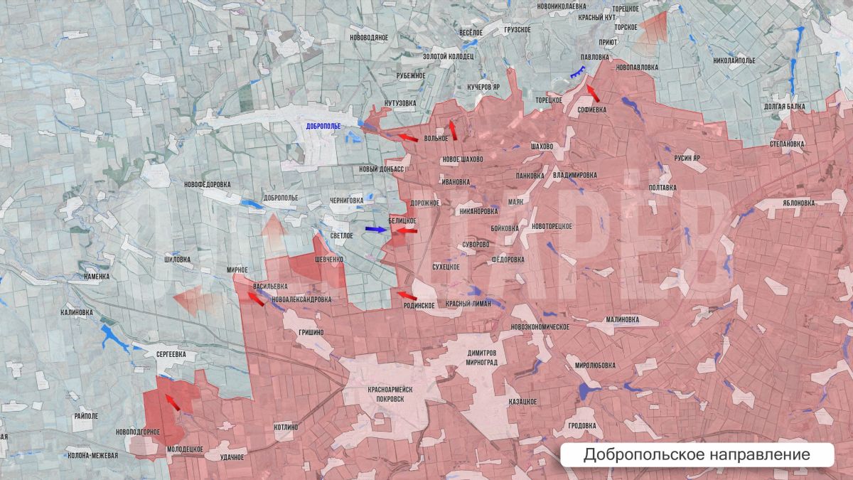 Олег Царёв: Фронтовая сводка 5 августа Олег Царёв: Фронтовая сводка 5 августа