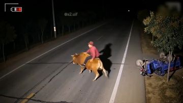 Вот и перепрыгнули через экватор недели